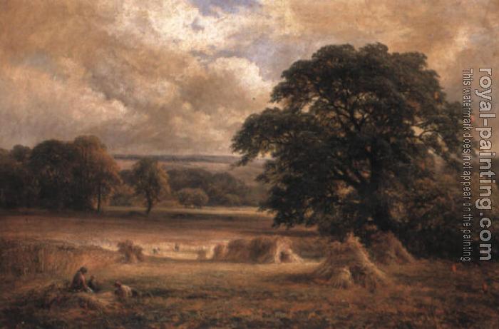 George Turner : Harvesting near Swarkestone, Derbyshire